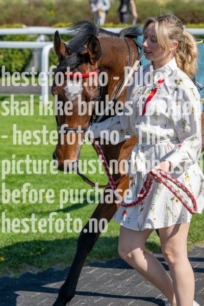 20240517-161747-DSC_1187