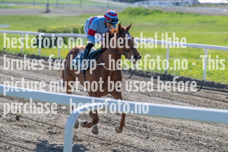 20240517-165022-DSC_1920
