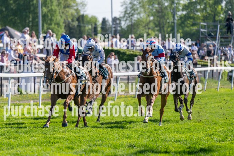 20240517-165611-DSC_2048