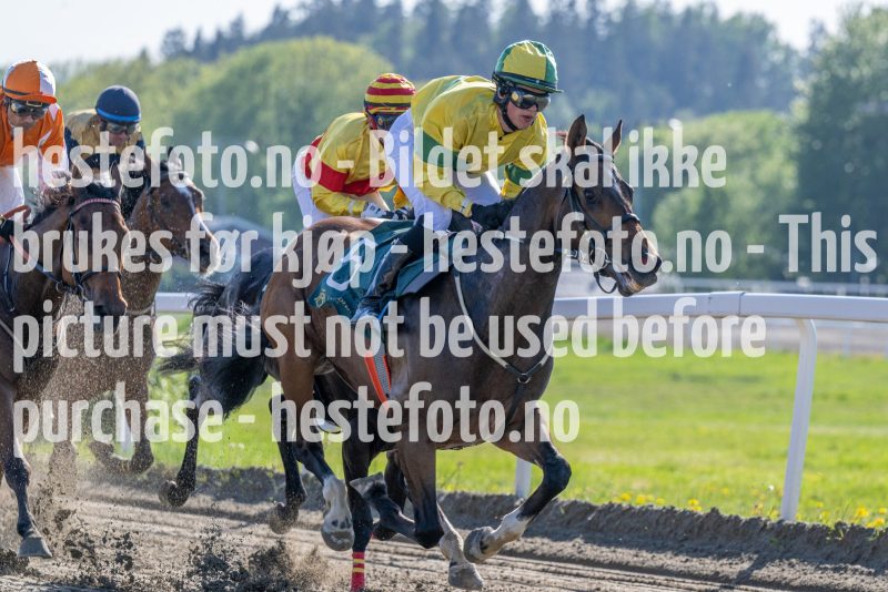 20240517-171900-DSC_2160