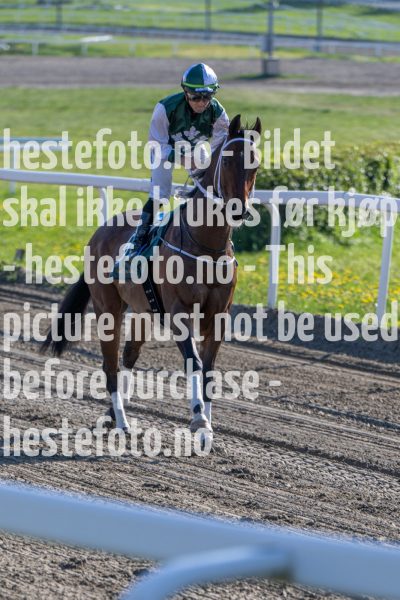 20240517-180347-DSC_3700