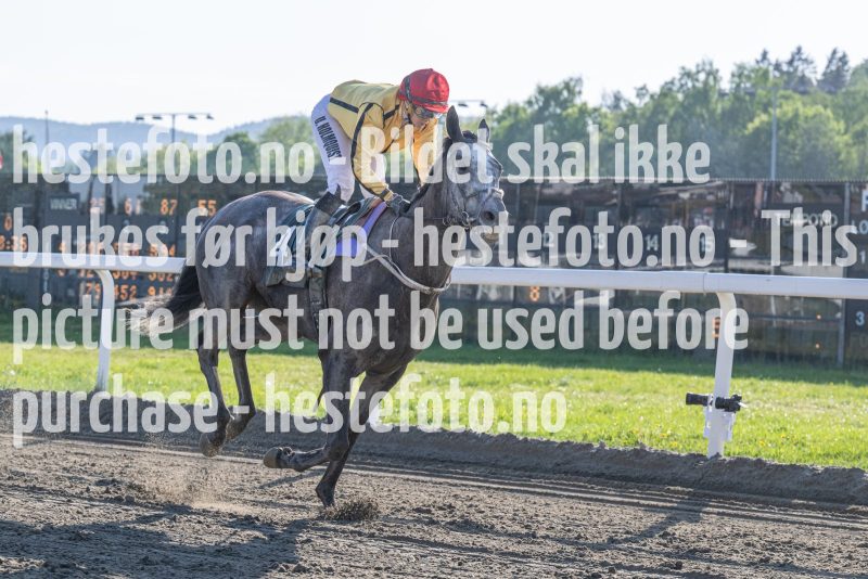 20240517-183656-DSC_4441