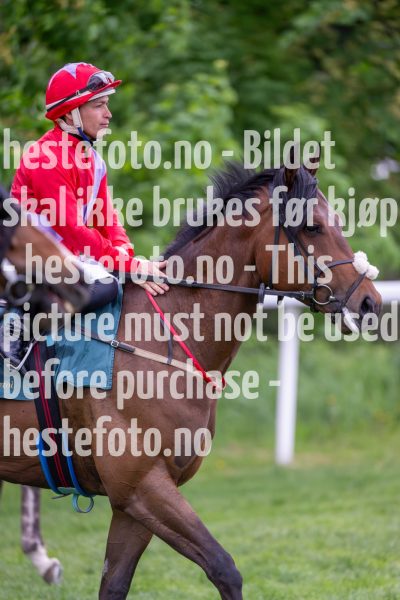 20240523-201853-DSC_9582