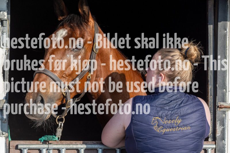 20240523-191956-DSC4506
