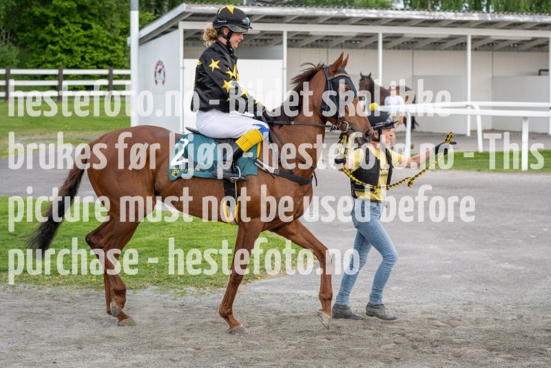 20240523-194940-DSC4704