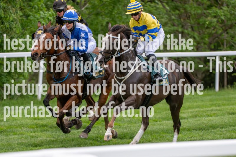 20240523-211143-DSC_1562