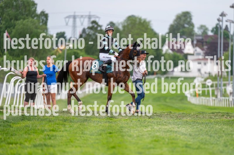 20240523-201611-DSC_6441