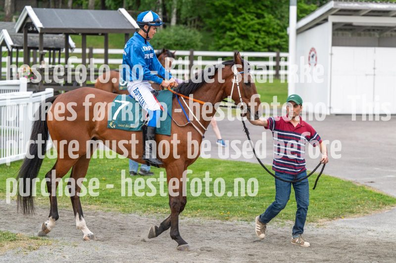 20240523-210617-DSC_6921