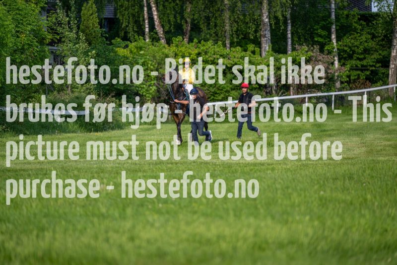 20240523-190728-DSC_8523