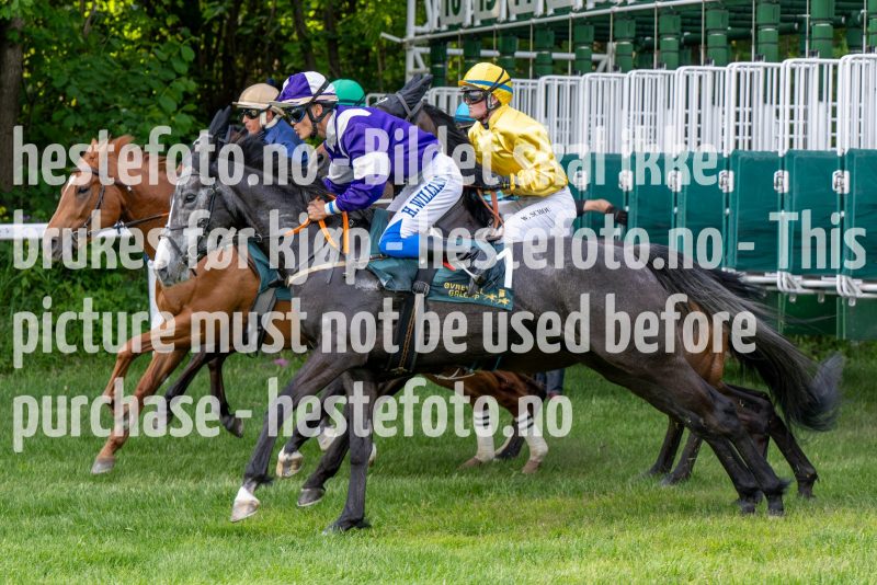 20240523-190916-DSC_8605