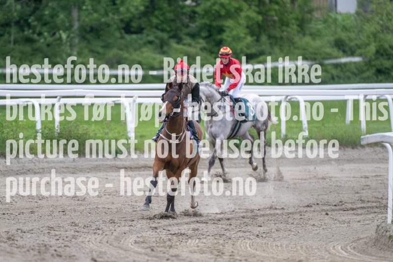 20240523-201552-DSC_9311