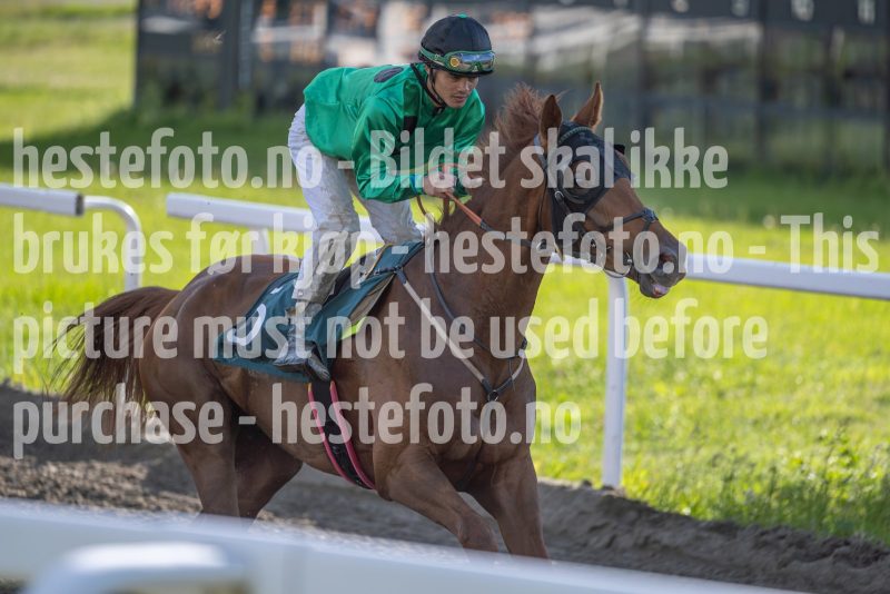 20240605-184958-DSC6351