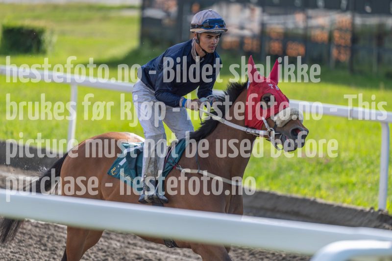 20240605-175840-DSC_1682