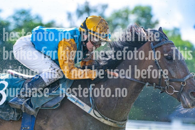 20240605-183231-DSC_3156