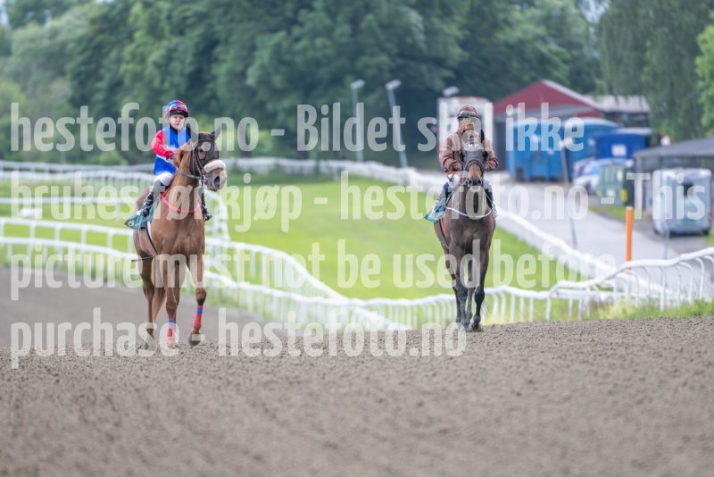 20240613-181237-DSC_5186