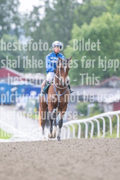 20240613-181251-DSC_5219