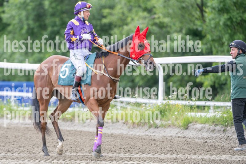 20240613-181232-DSC_5182