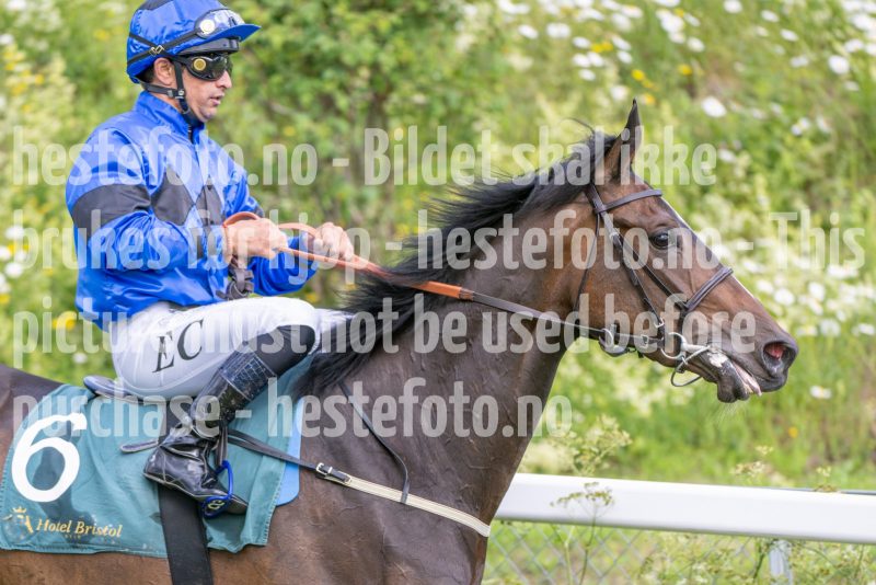 20240613-181848-DSC_5488