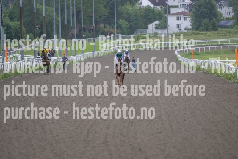20240613-192614-DSC_6249