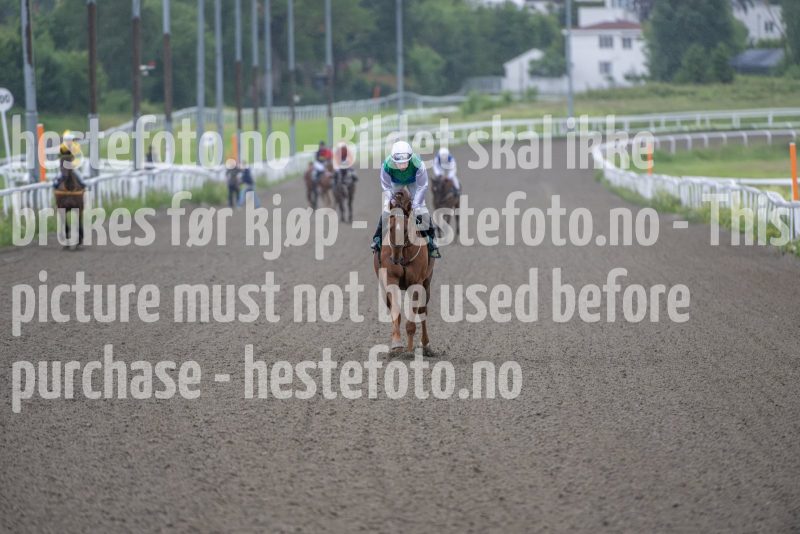 20240613-192620-DSC_6264