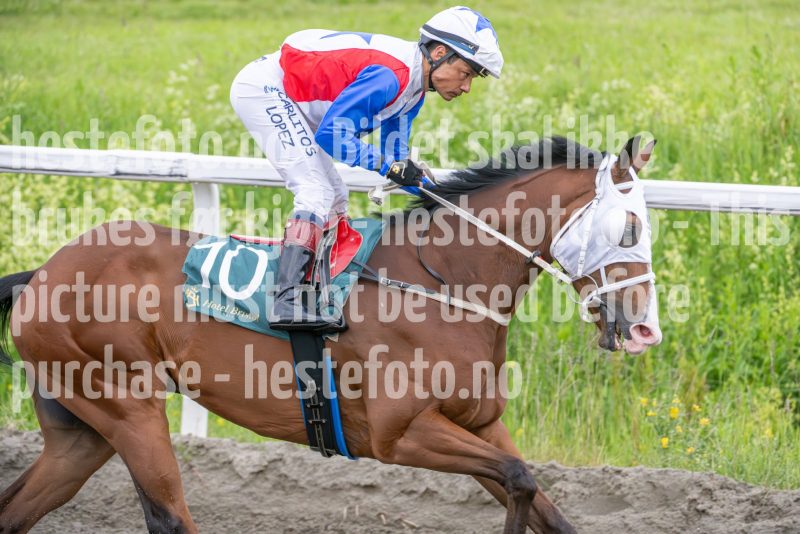 20240613-201655-DSC_8007