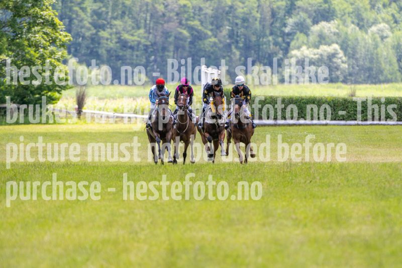 20240615-124626-stromsholm-20240615-lop-1