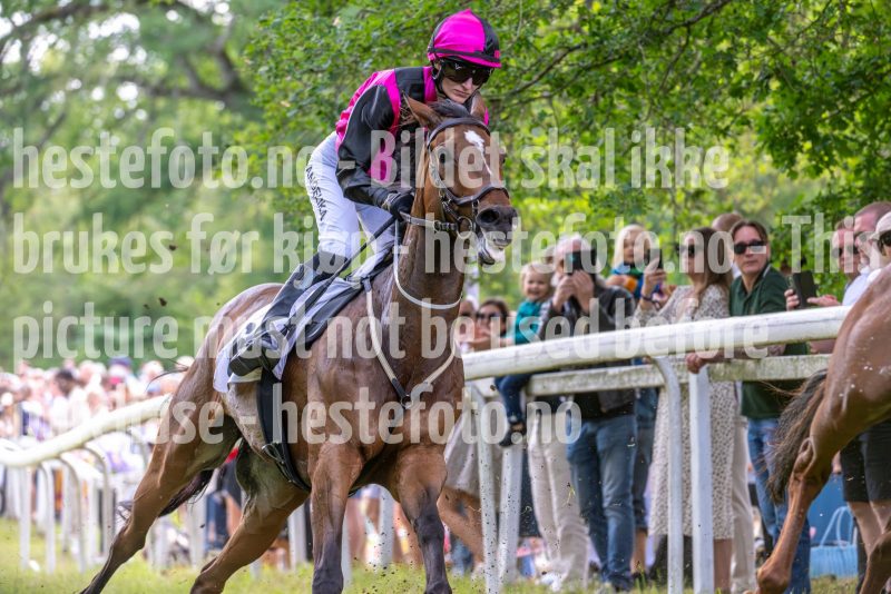 20240615-124634-stromsholm-20240615-lop-12