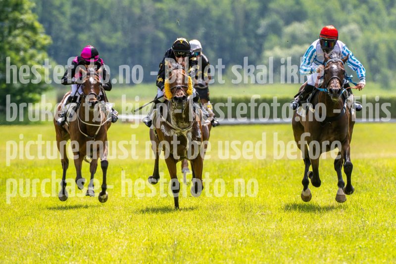 20240615-124744-stromsholm-20240615-lop-22