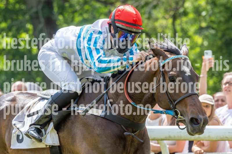 20240615-124749-stromsholm-20240615-lop-35