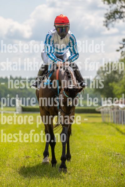 20240615-124950-stromsholm-20240615-lop-48