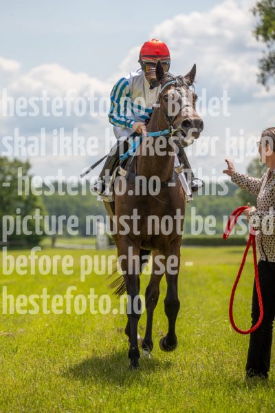 20240615-124950-stromsholm-20240615-lop-49