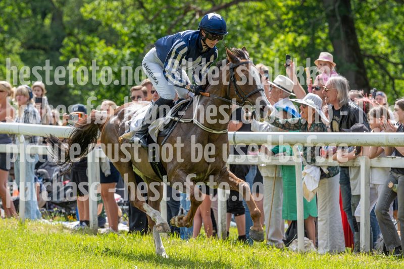 20240615-131135-stromsholm-20240615-lop-64