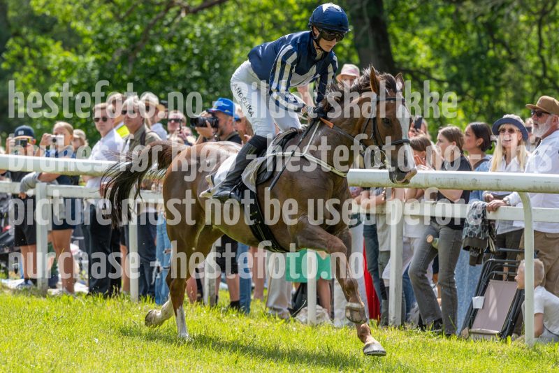20240615-131135-stromsholm-20240615-lop-65