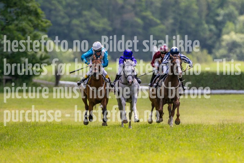 20240615-131252-stromsholm-20240615-lop-69