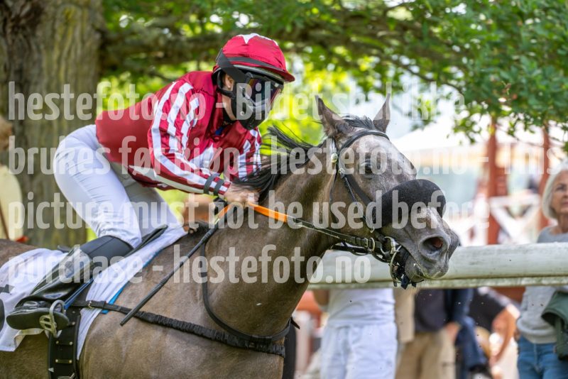 20240615-131136-stromsholm-20240615-lop-66