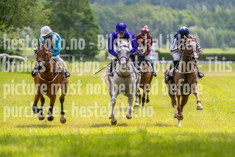 20240615-131257-stromsholm-20240615-lop-74