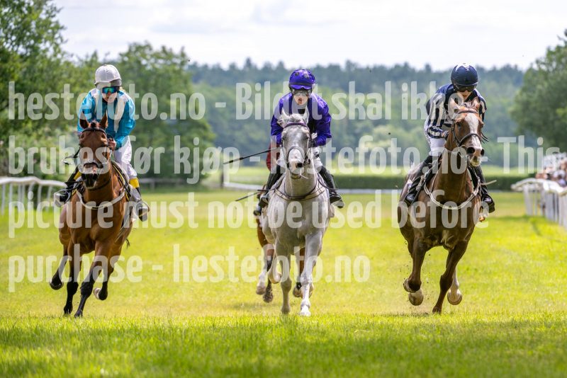 20240615-131257-stromsholm-20240615-lop-75