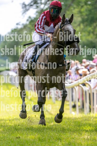 20240615-131306-stromsholm-20240615-lop-87