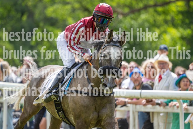 20240615-131307-stromsholm-20240615-lop-93