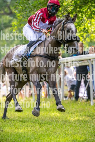 20240615-131307-stromsholm-20240615-lop-90