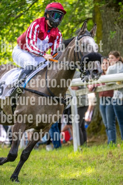 20240615-131307-stromsholm-20240615-lop-91