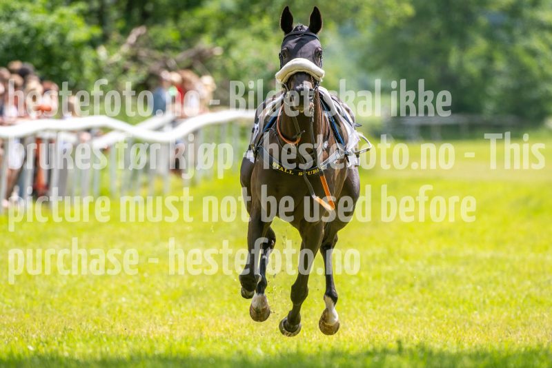 20240615-134653-stromsholm-20240615-lop-136