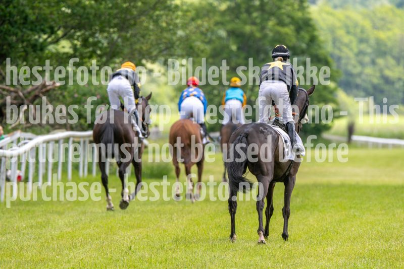 20240615-134051-stromsholm-20240615-lop-135