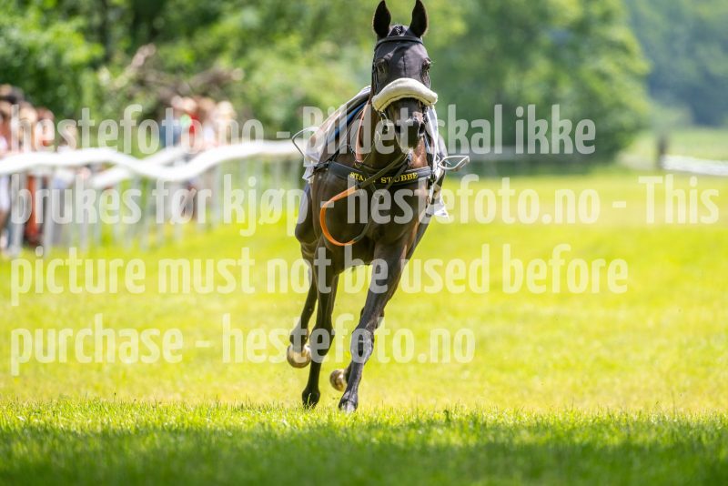 20240615-134653-stromsholm-20240615-lop-137