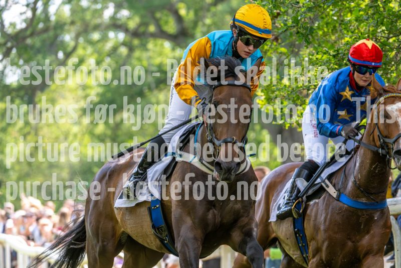 20240615-134705-stromsholm-20240615-lop-147