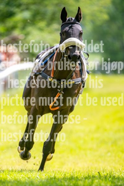 20240615-134821-stromsholm-20240615-lop-152
