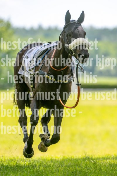 20240615-134821-stromsholm-20240615-lop-153
