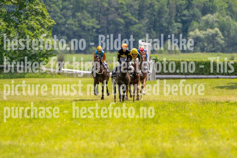 20240615-134828-stromsholm-20240615-lop-154