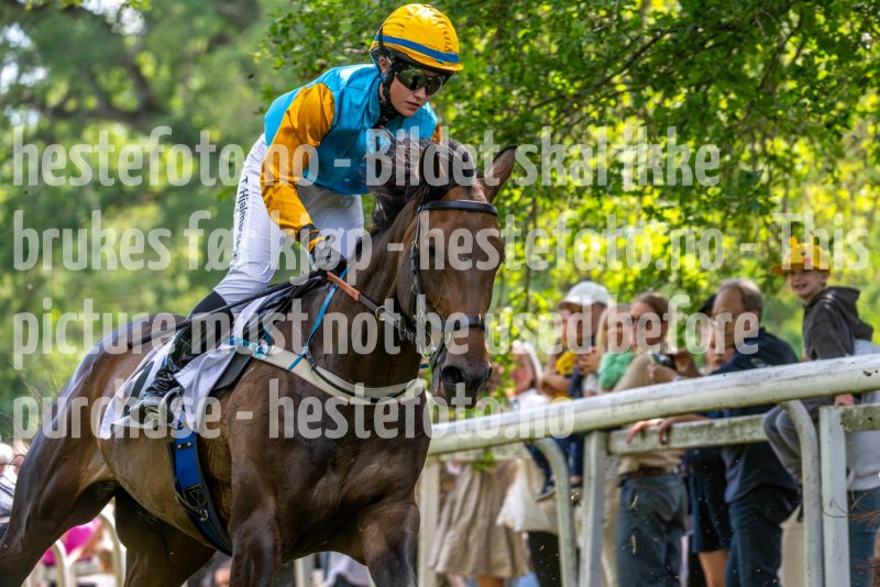 20240615-134838-stromsholm-20240615-lop-162
