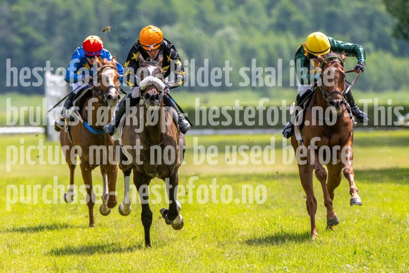 20240615-134955-stromsholm-20240615-lop-165